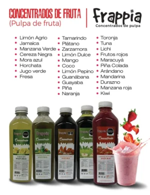 CONCENTRADOS DE FRUTA FRAPPIA CONCENTRADOS DE FRUTA